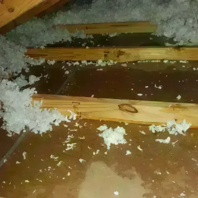 Attic Water Damage in DeQuincy, LA